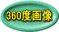 360度画像 